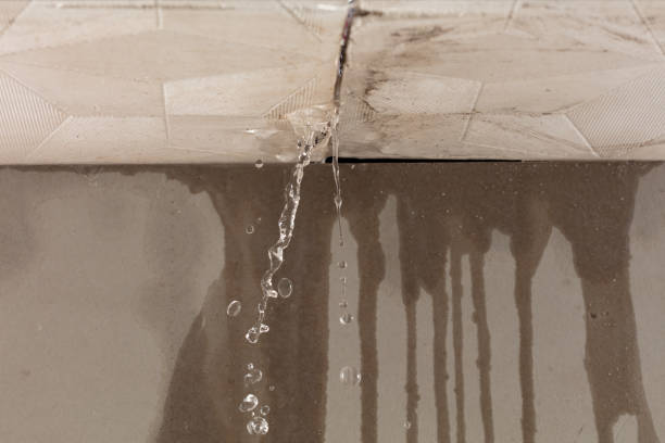 Professional Sewage Cleanup technician working in Princeton, WI
